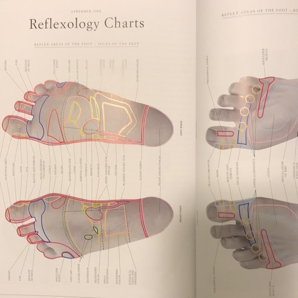 Reflexology A Basic Guide Illustrated Book by Beryl Crane EUC w/ Body Maps 1999 - Picture 5 of 6